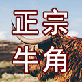 牛牛角艺