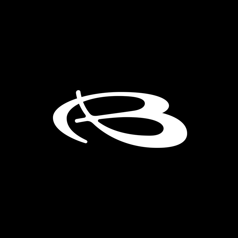 BING旗舰店 店铺LOGO