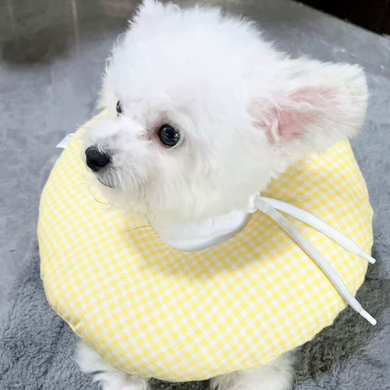 黑洞圈币