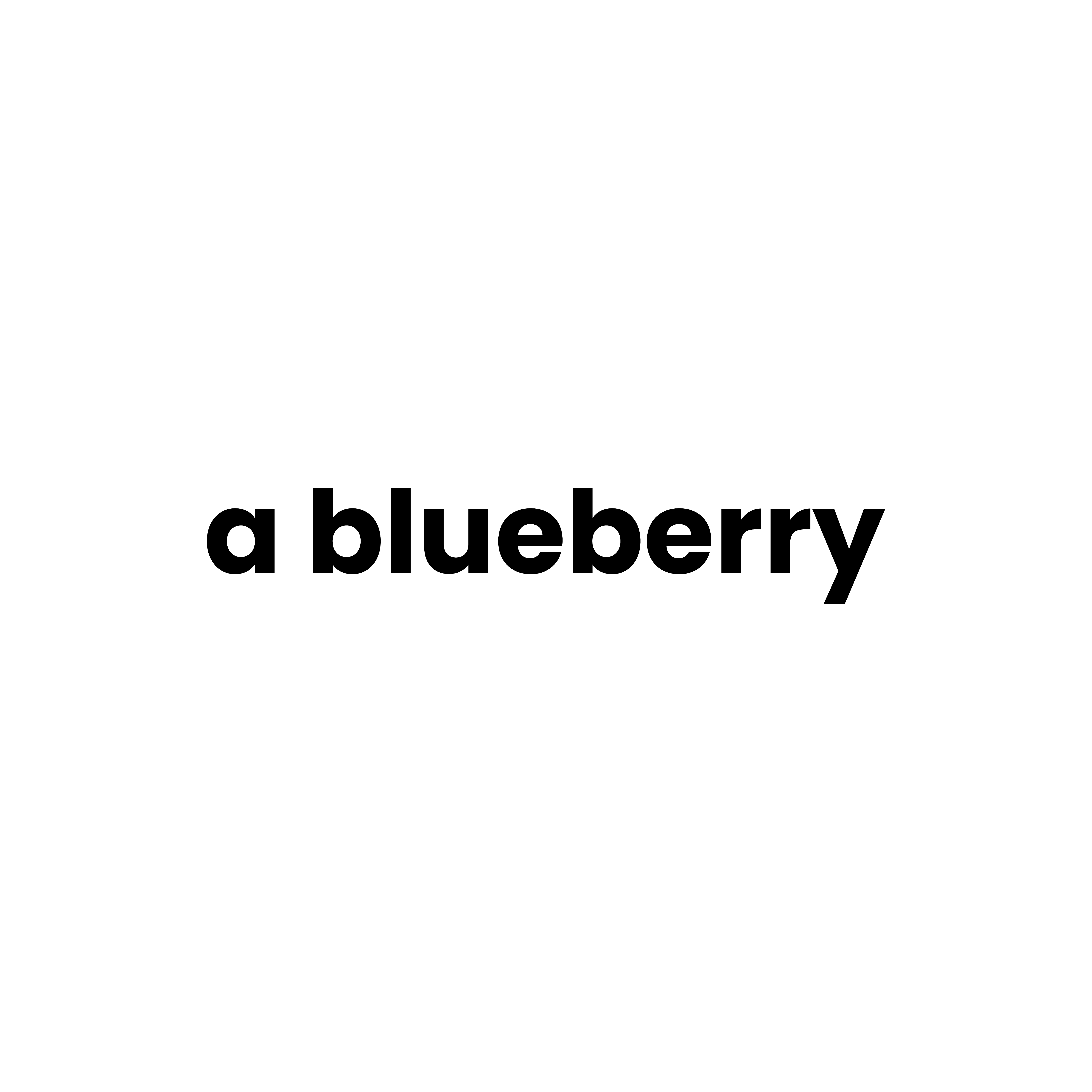 ablueberry旗舰店 店铺LOGO