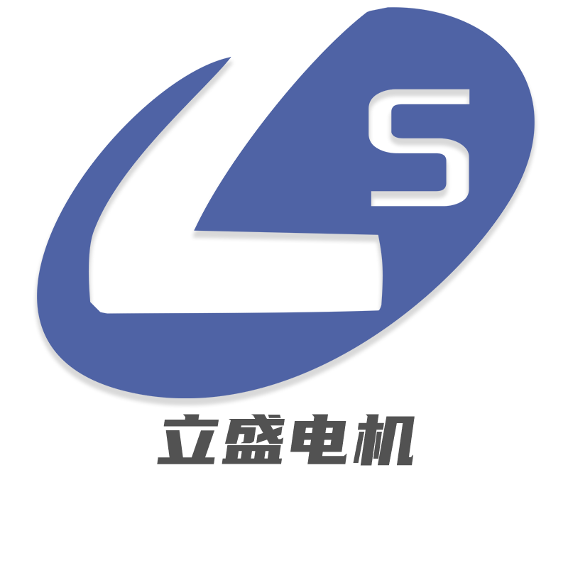 深圳市立盛电机