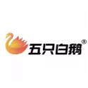 五只白鹅直播间