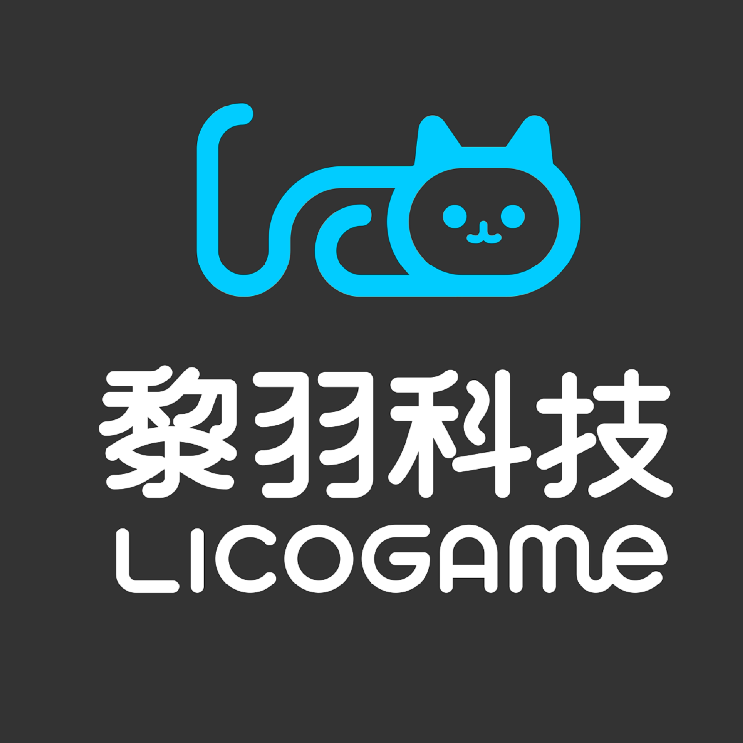 黎羽科技官方店