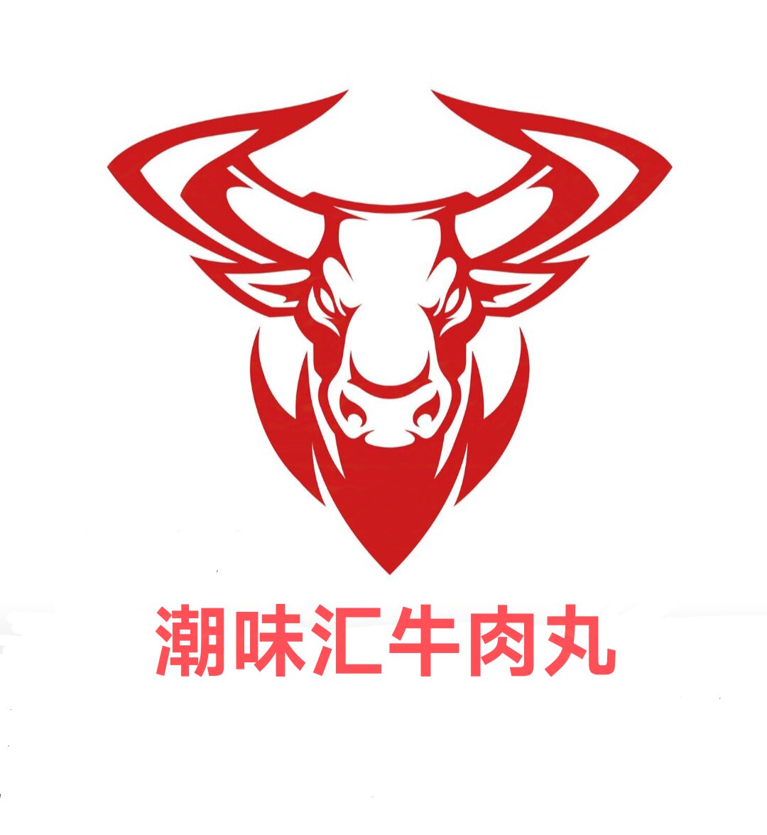 潮汕潮味汇牛肉丸