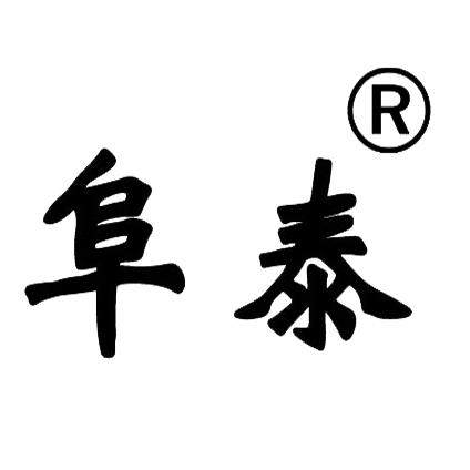 阜泰灯具旗舰店