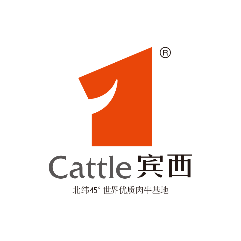宾西食品旗舰店