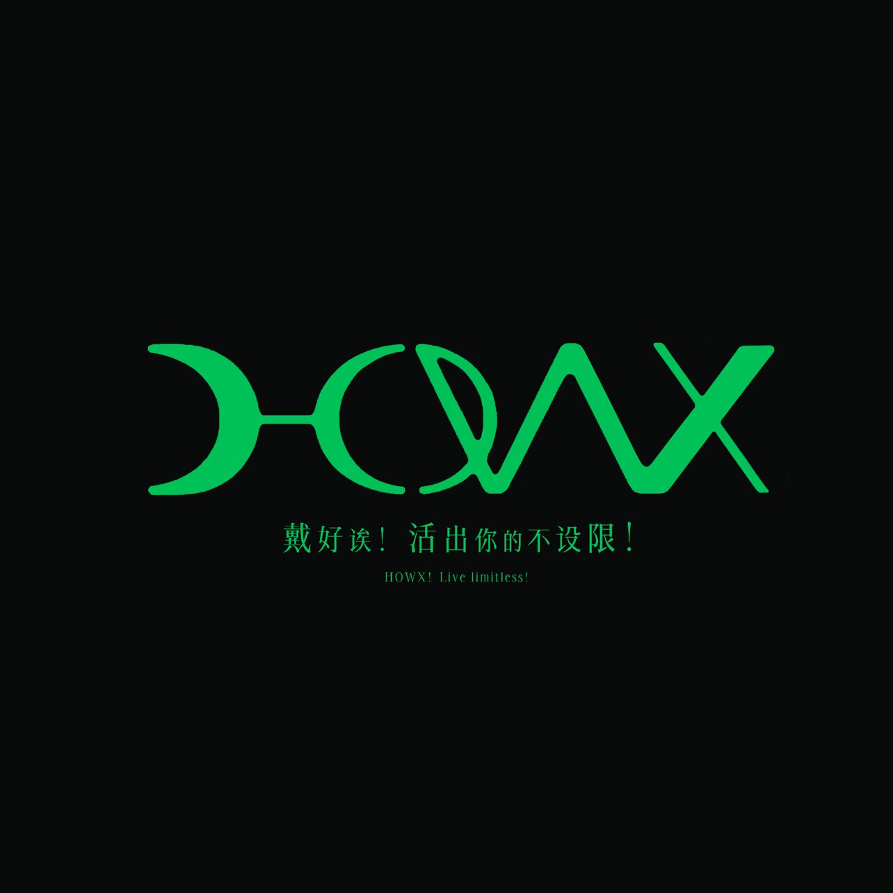 HOWX好诶 店铺LOGO