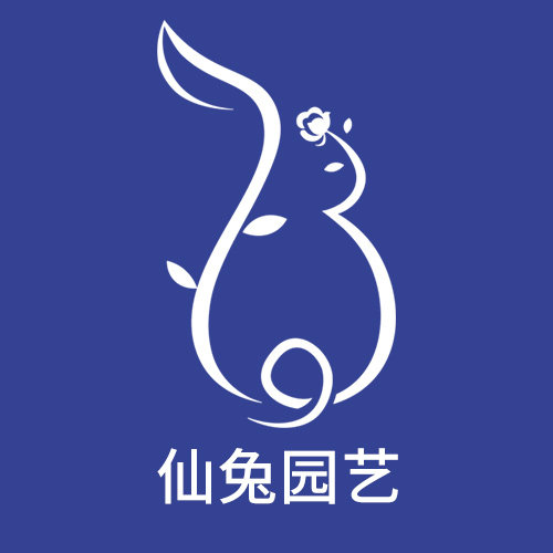 仙兔旗舰店