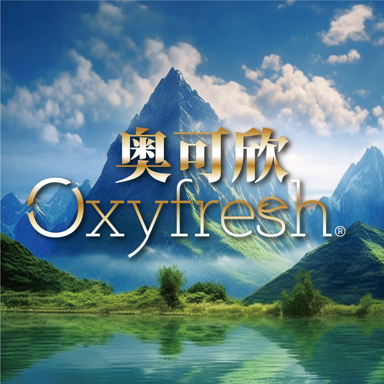奥可欣官方店