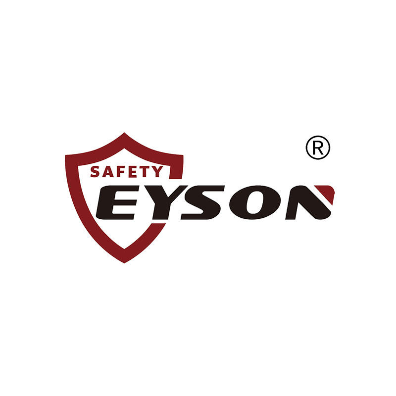 Eyson旗舰店 店铺LOGO