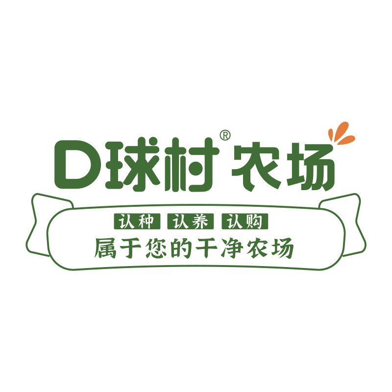 D球村食品旗舰店