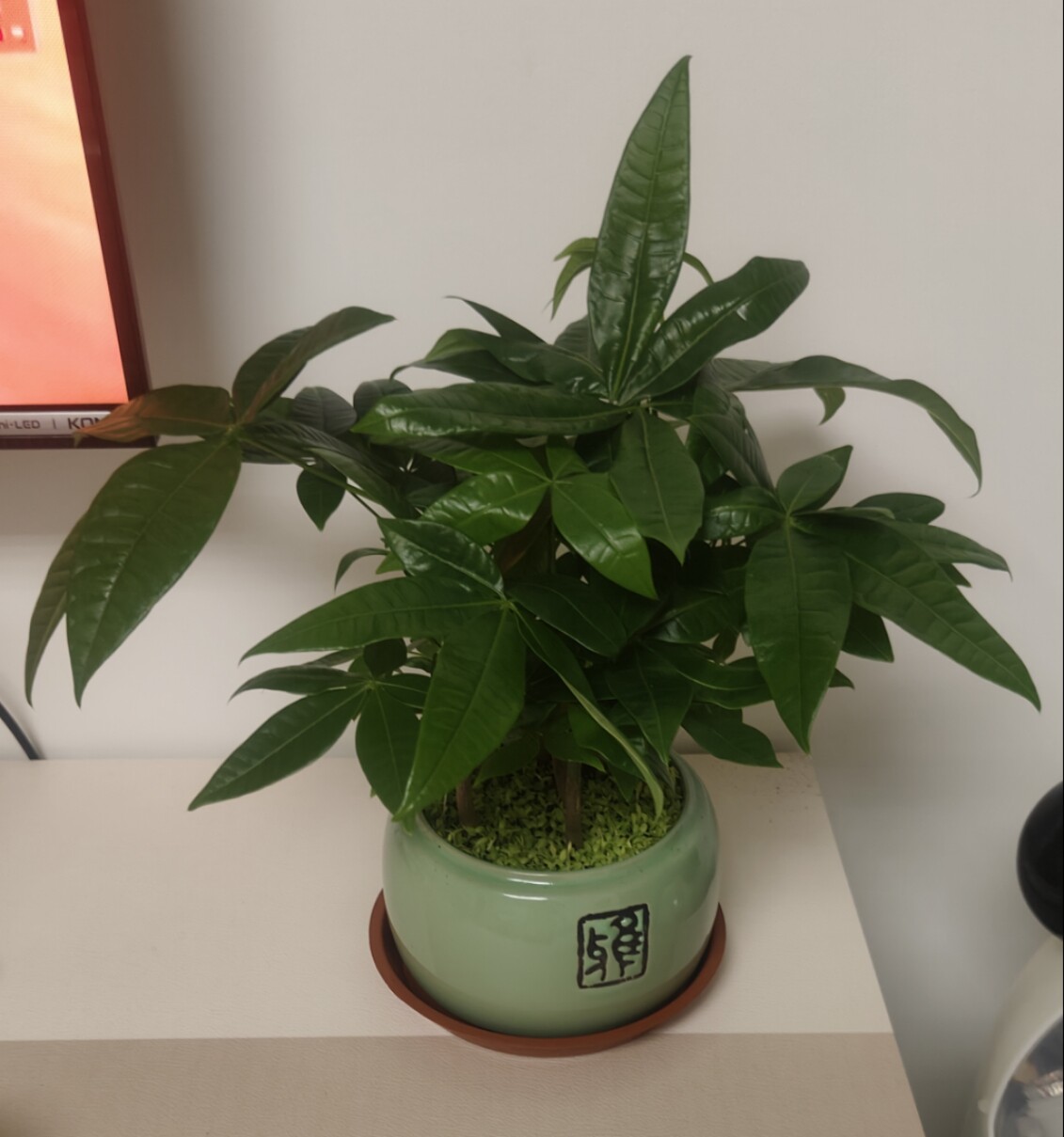 黛美布艺