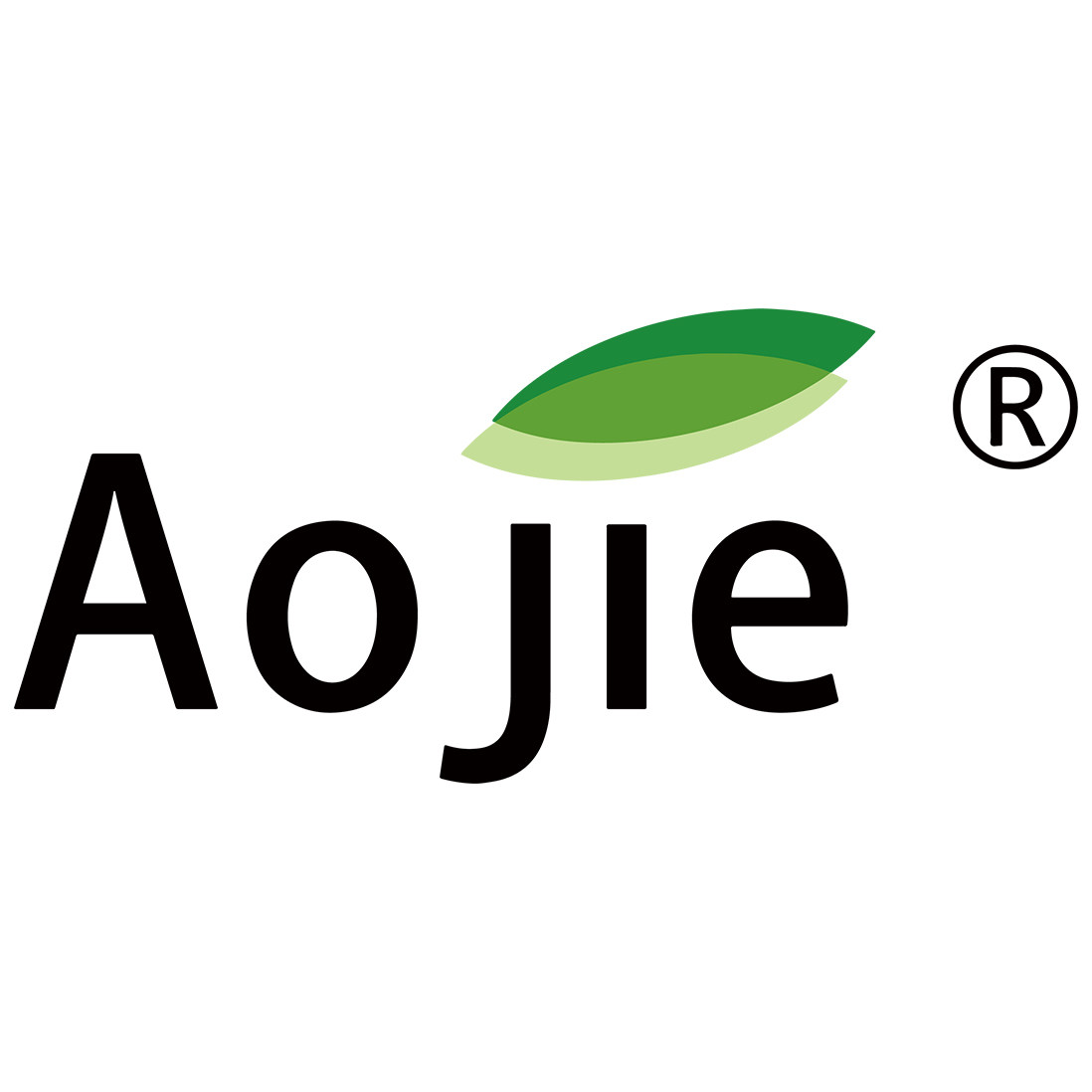 aojie旗舰