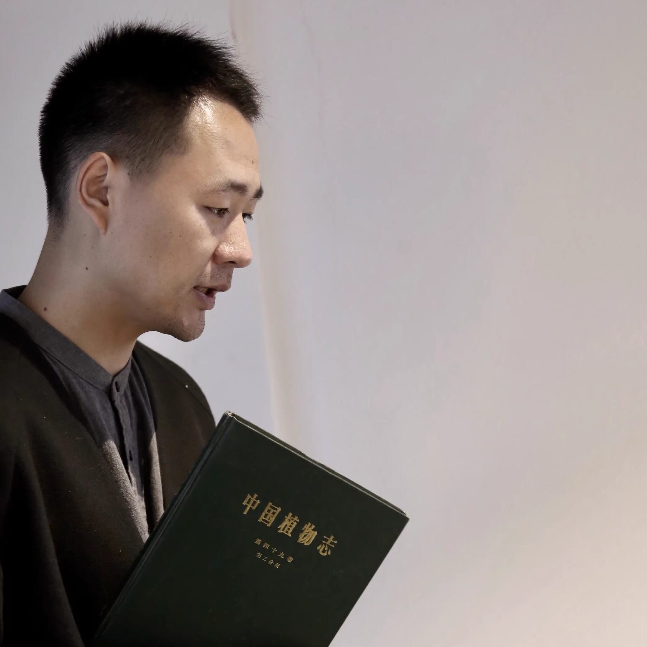 入界茶叶旗舰店