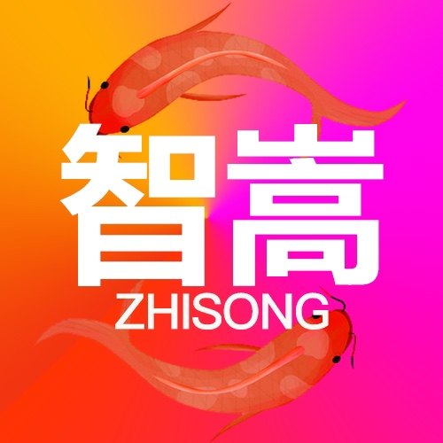 智嵩旗舰店