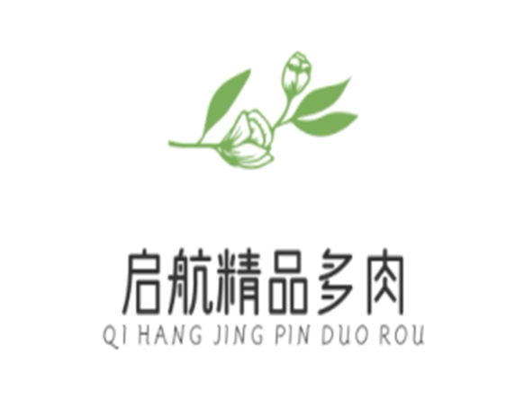 启航精品多肉