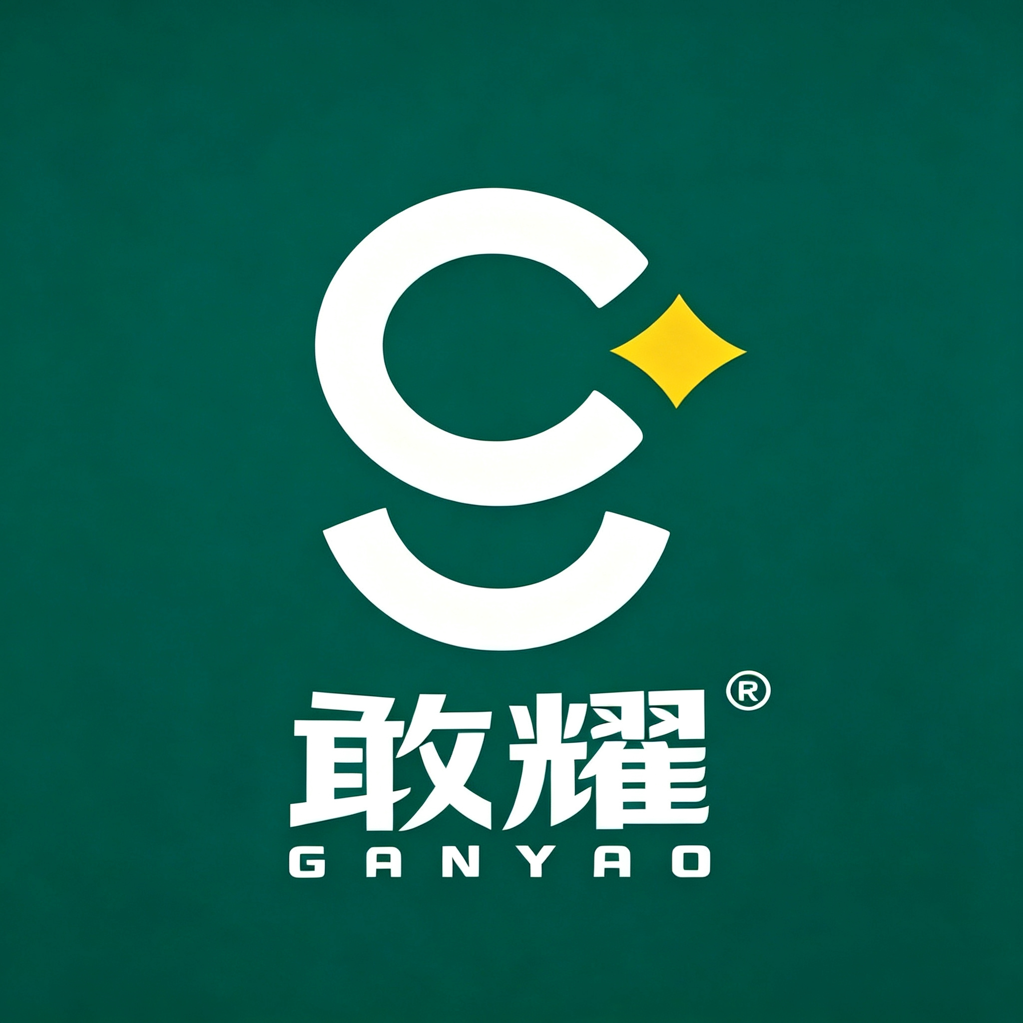 敢耀工厂店 店铺LOGO