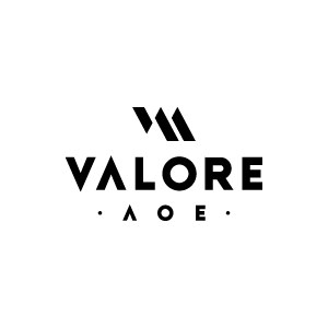 VALORE AOE旗舰店