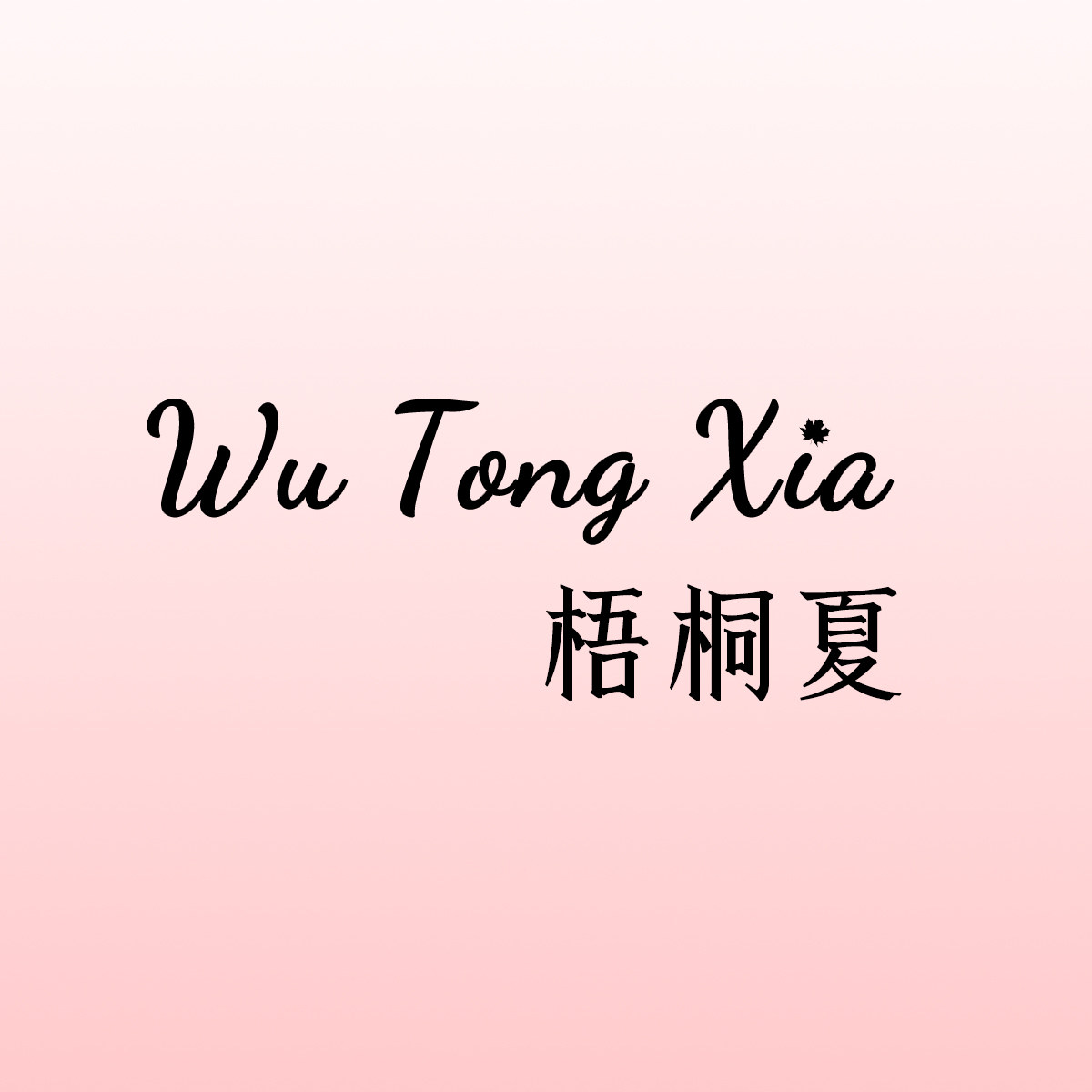 梧桐夏旗舰店