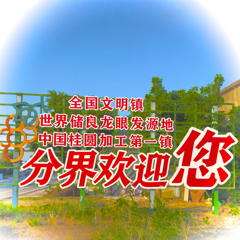 润森高州桂圆甄选 店铺LOGO