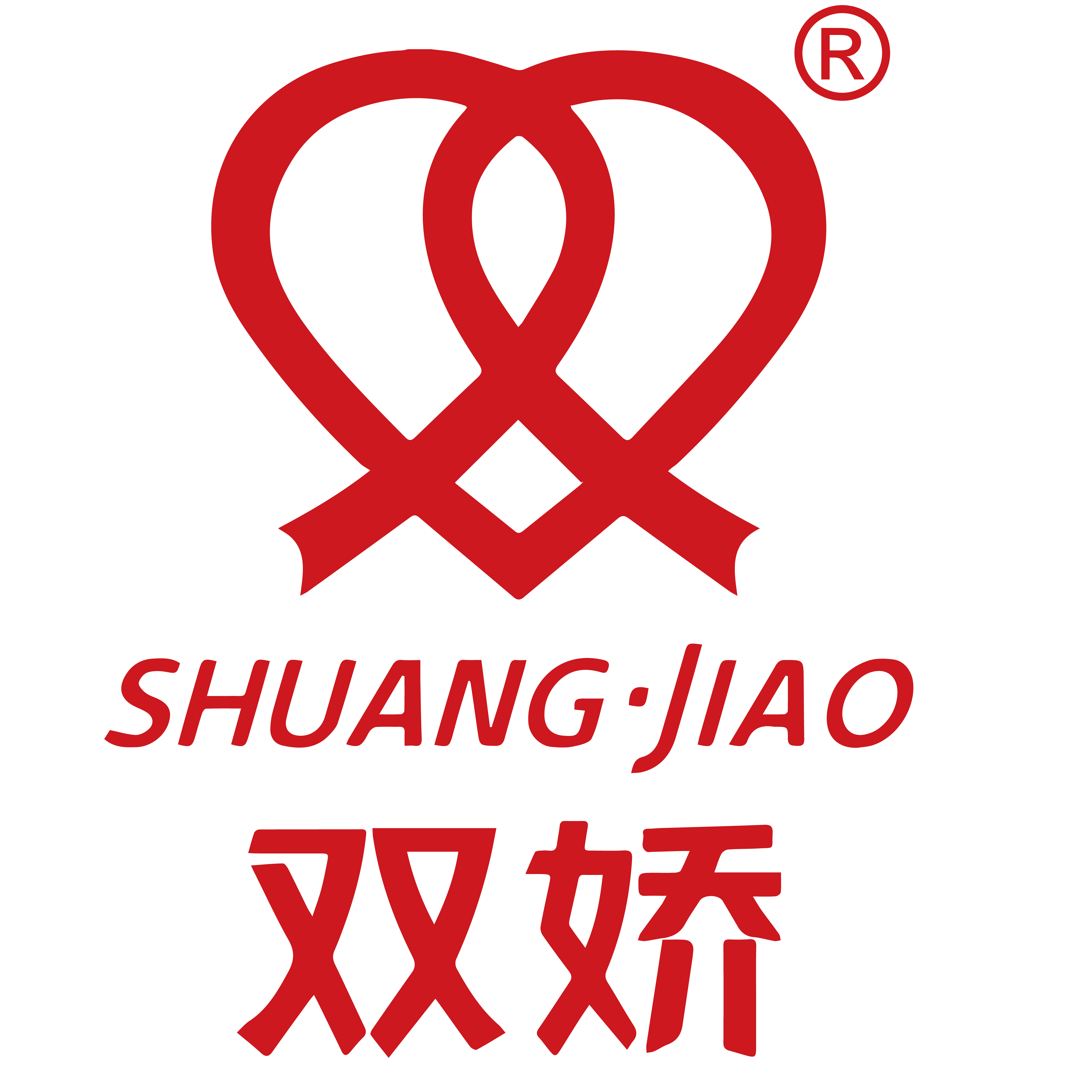 双娇旗舰店 店铺LOGO
