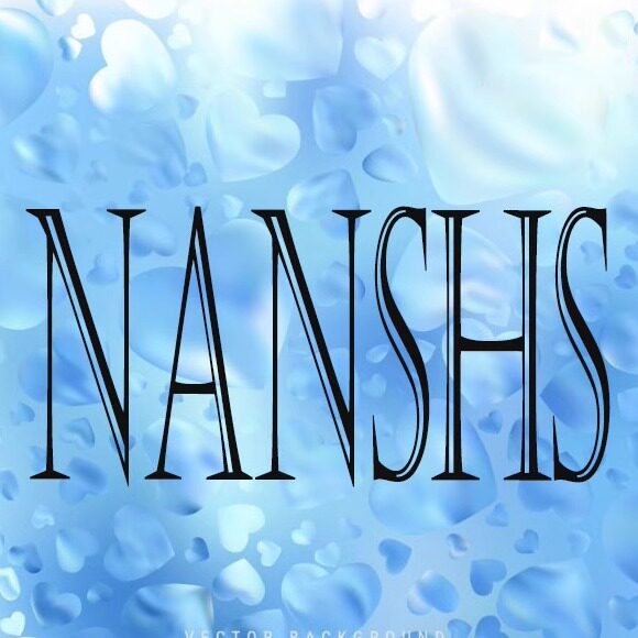 nanshs旗舰店