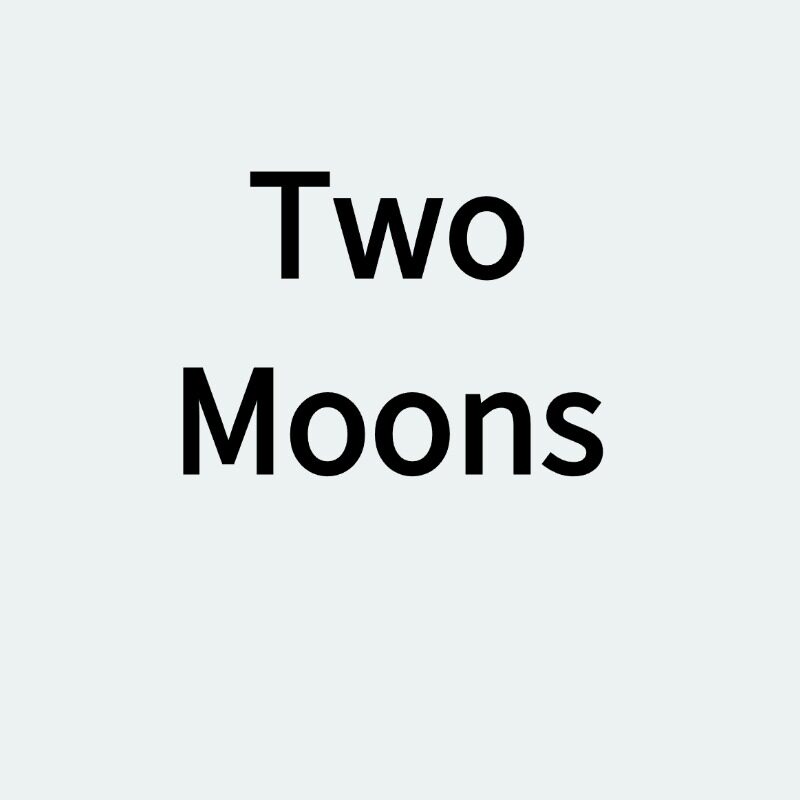 Two Moons Store企业店