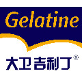 大卫吉利丁旗舰店