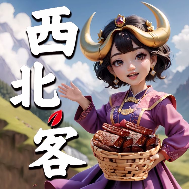西北客食品旗舰店