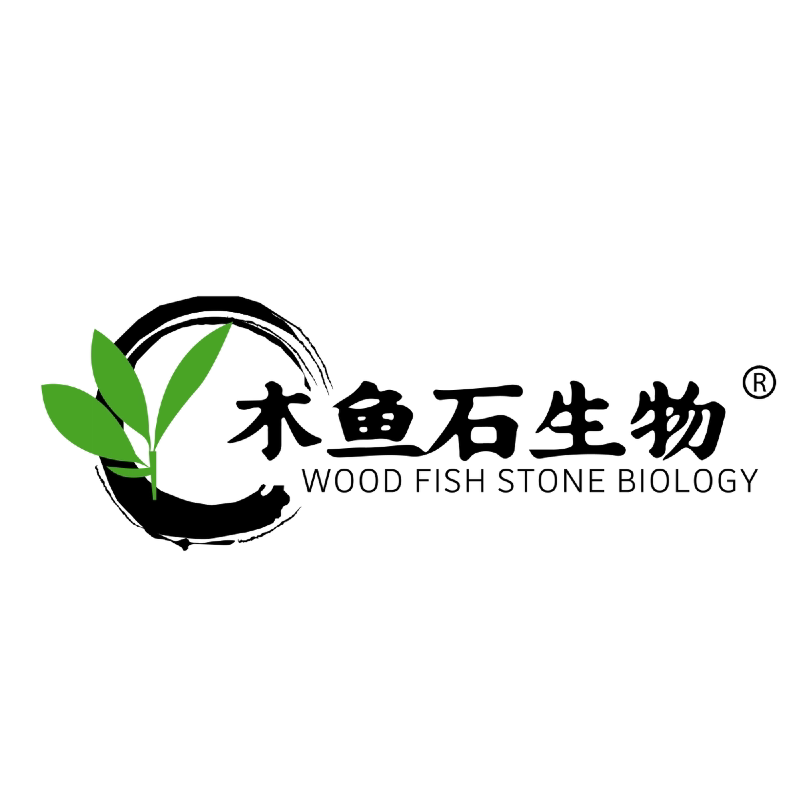 木鱼石生物旗舰店