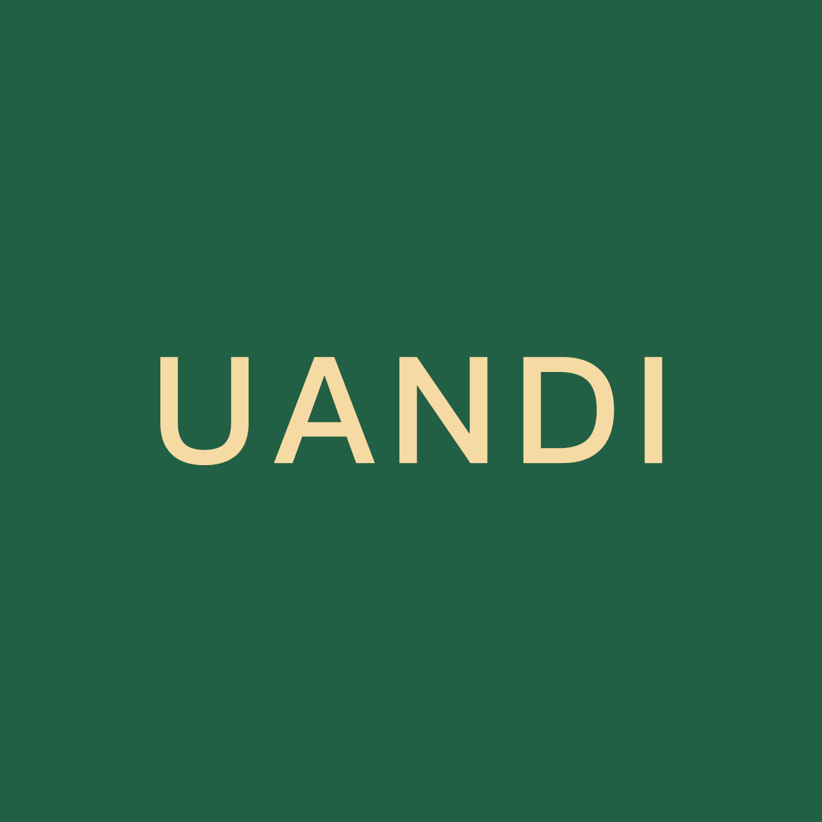 uandi旗舰店 店铺LOGO