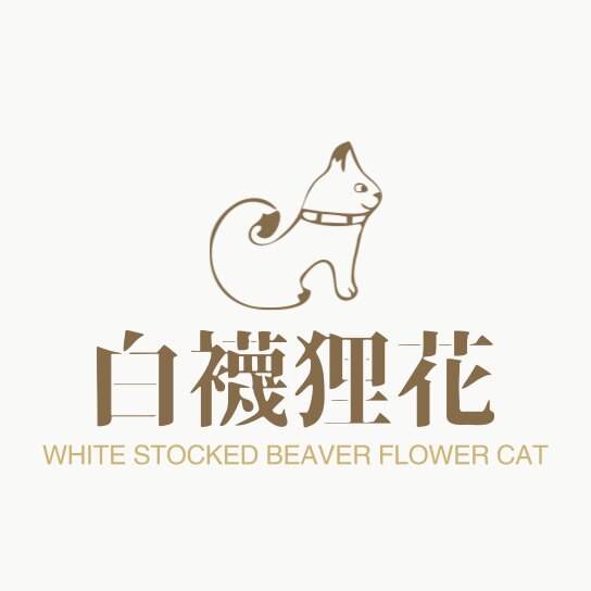 白袜狸花猫