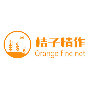 桔子精作网企业店 店铺LOGO