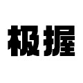 极握企业店 店铺LOGO