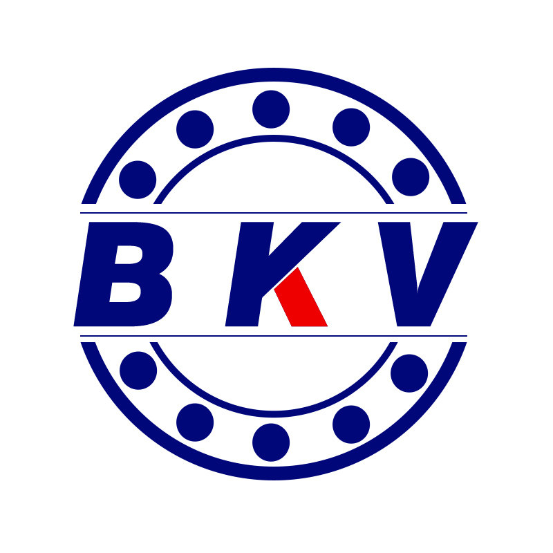 bkv旗舰店 店铺LOGO