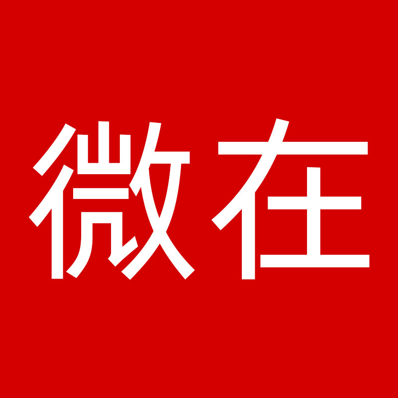 微在眼镜旗舰店 店铺LOGO