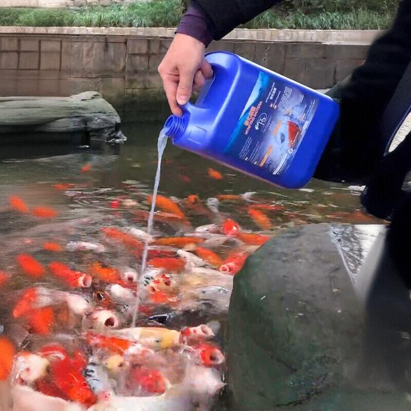 ffcleaner水族旗舰店