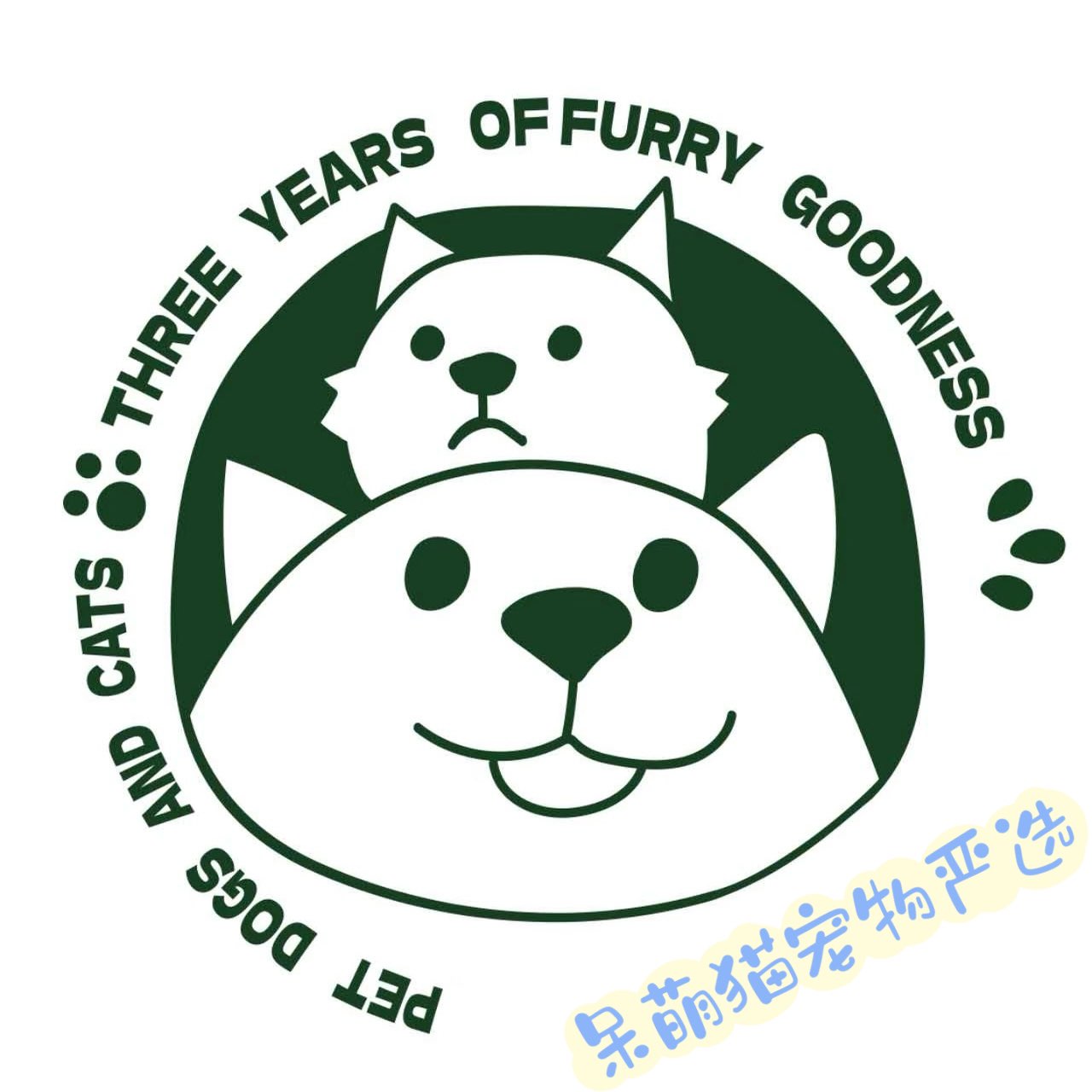 呆萌猫宠物严选