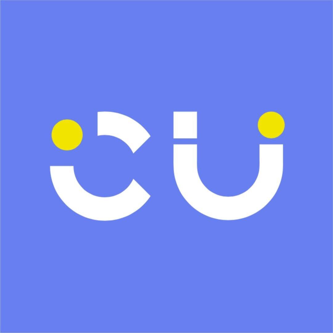 Chicunit假发旗舰店