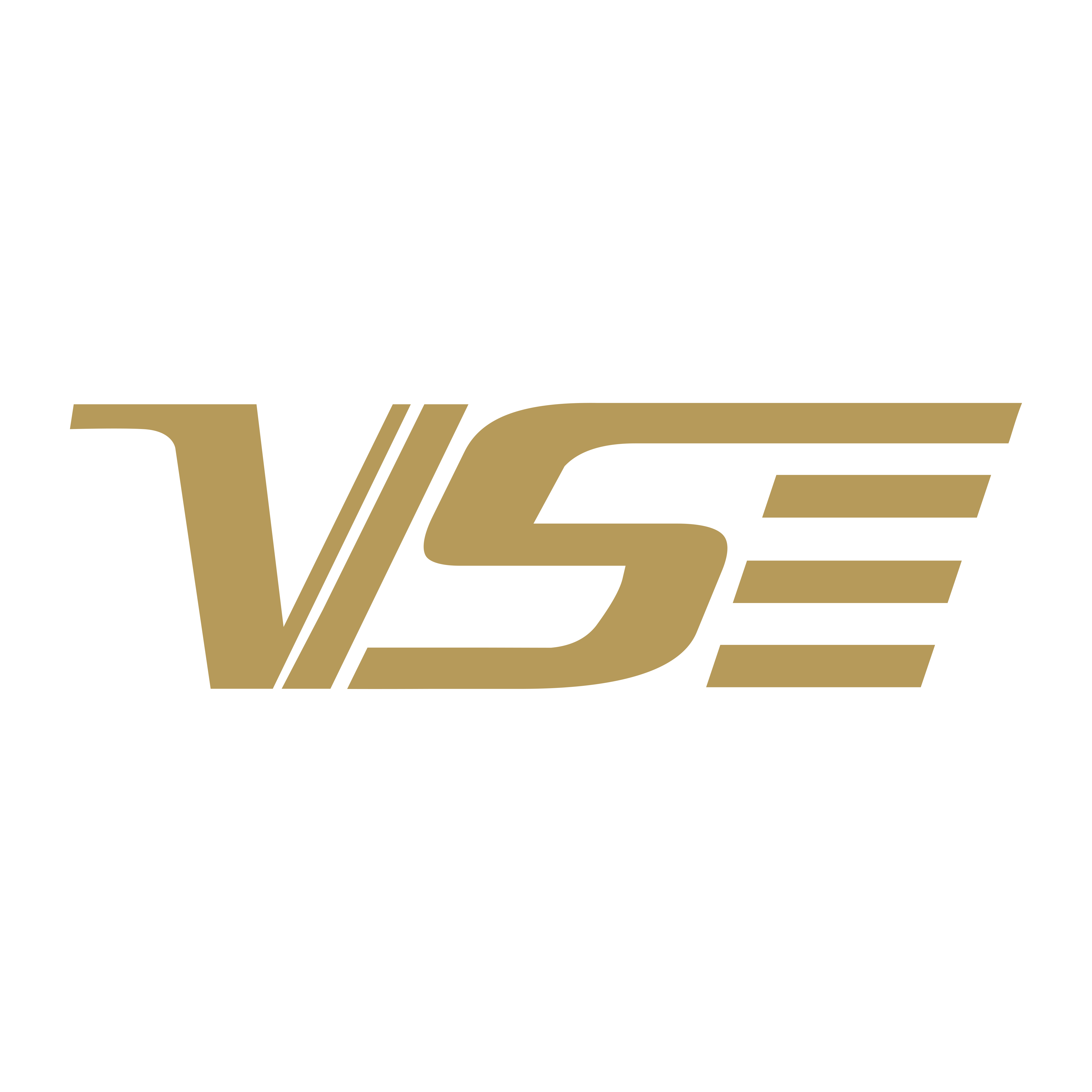 VENSON威臣飞羽专卖店