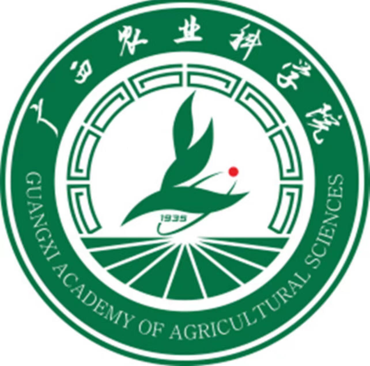 广西农业科技旗袍店