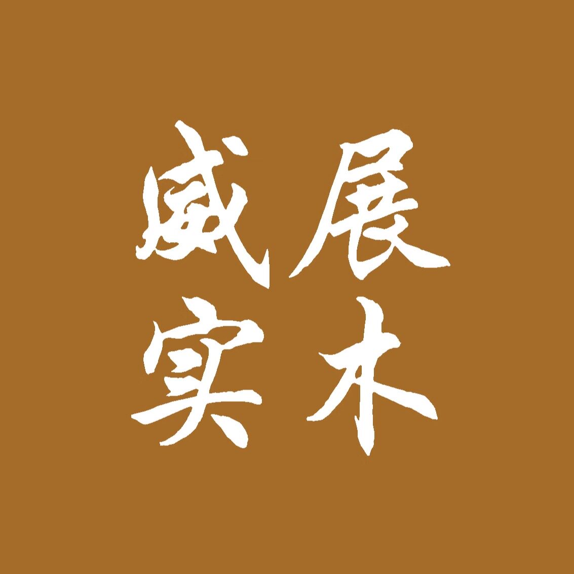 威展旗舰店 店铺LOGO