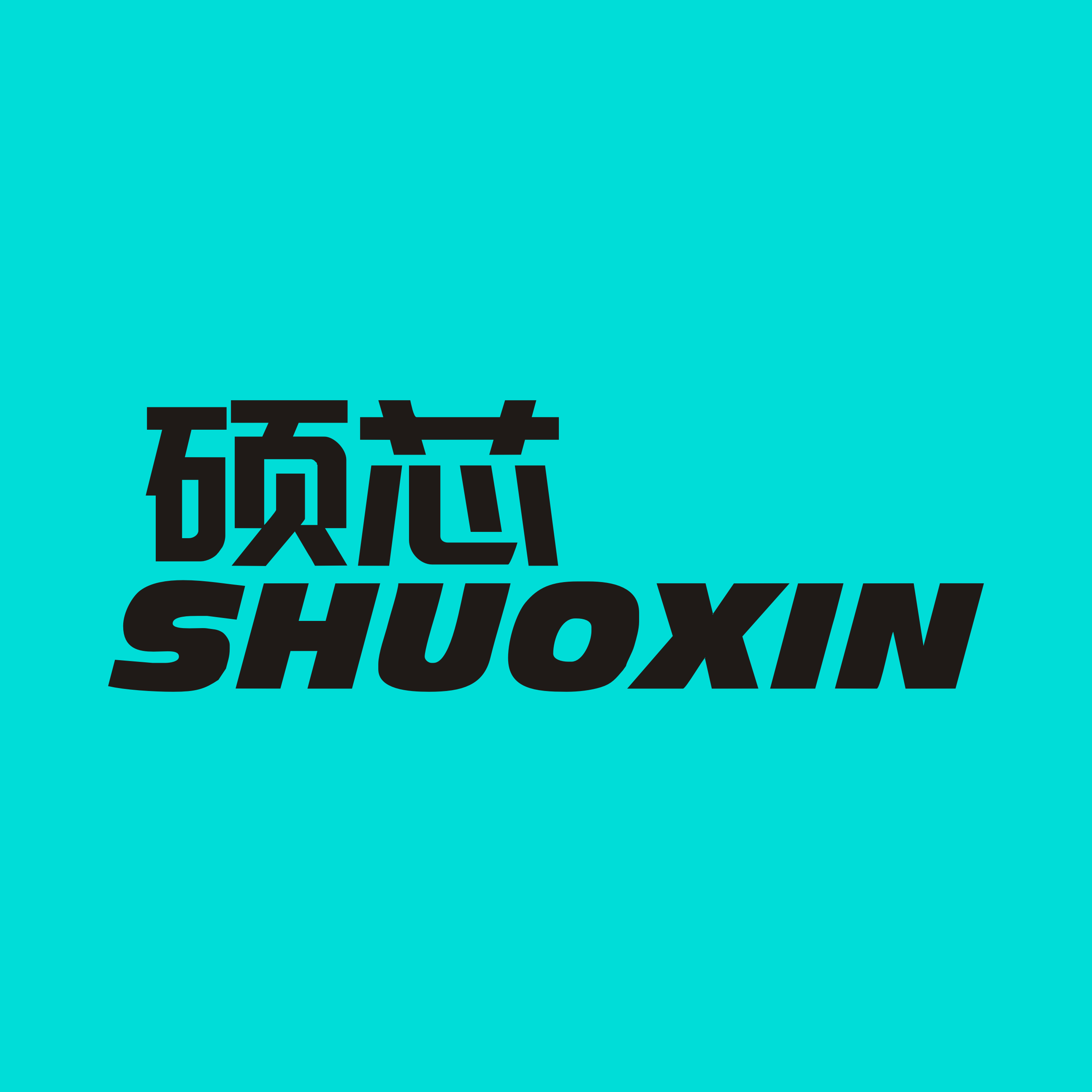 硕芯旗舰店