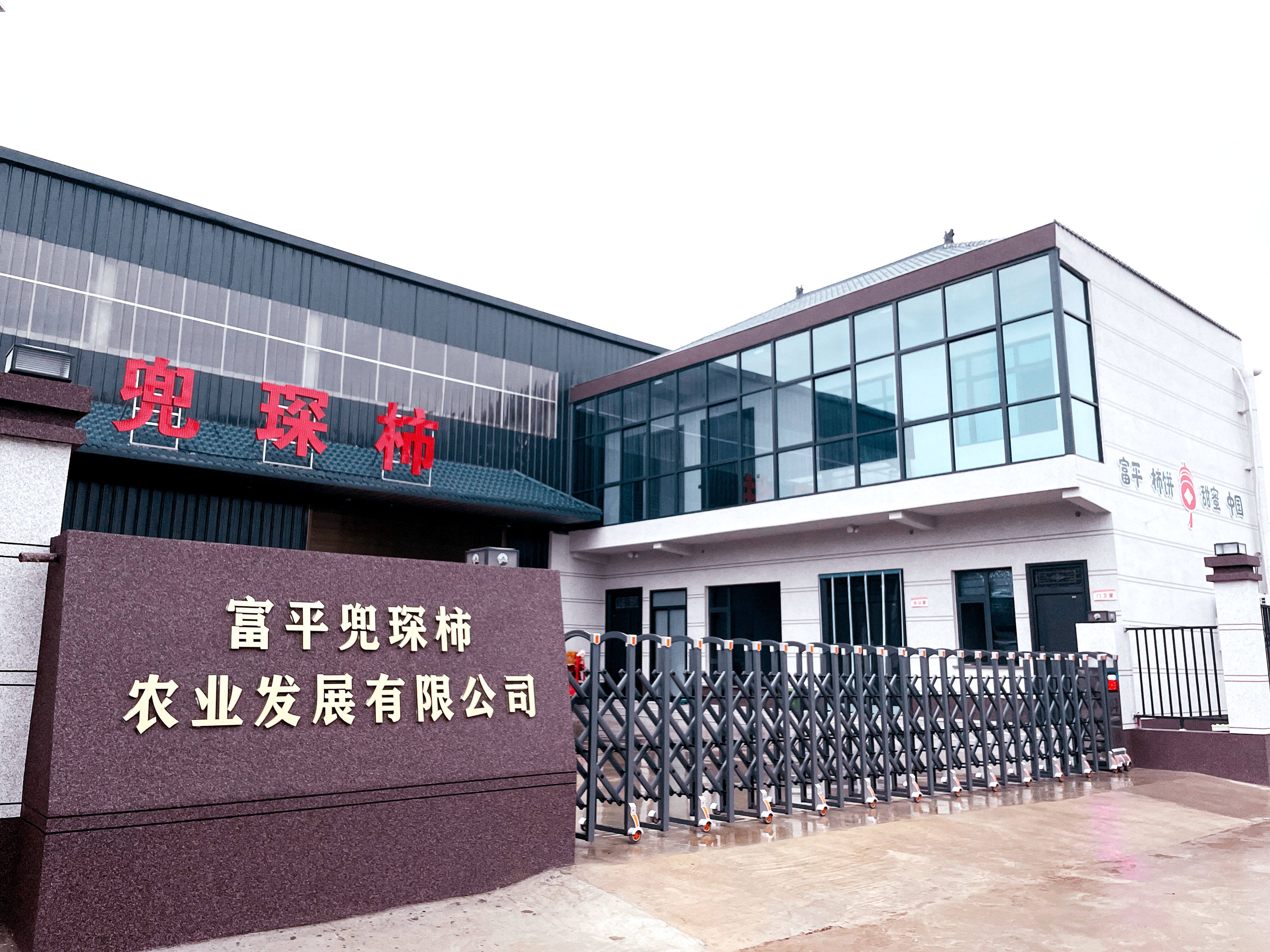 富平兜琛柿饼企业店