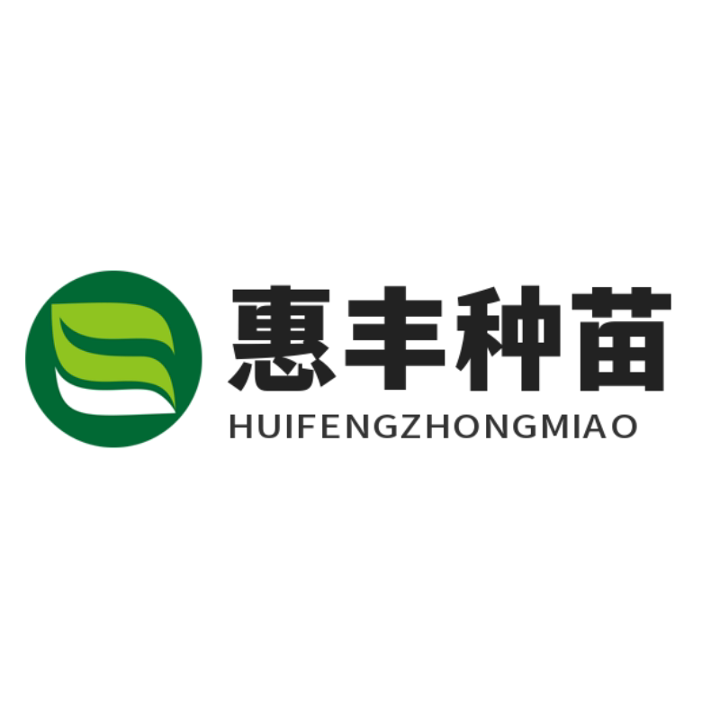 惠丰种苗