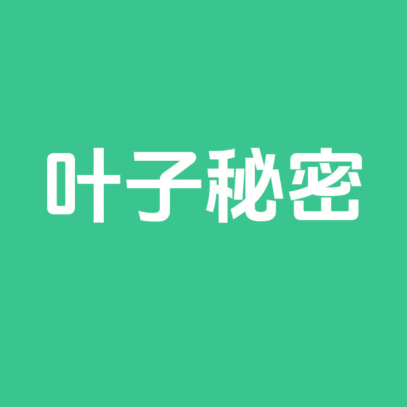 叶子秘密睡衣店 店铺LOGO