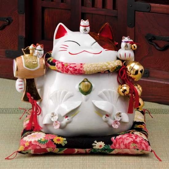 猫舍道乐堂本铺旗舰店