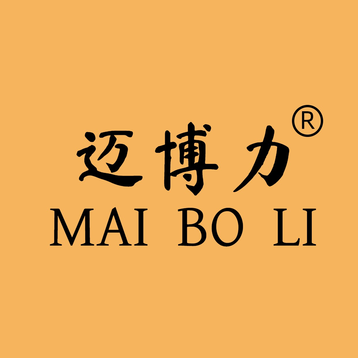 迈博力旗舰店 店铺LOGO