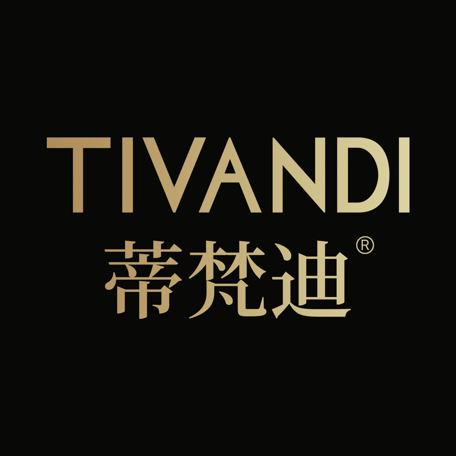 蒂梵迪首饰 店铺LOGO