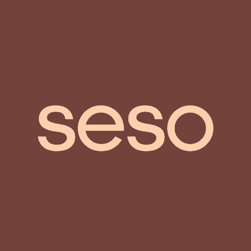 seso 店铺LOGO